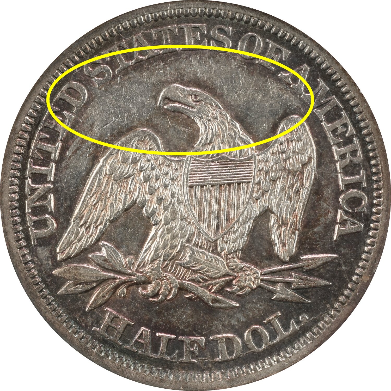 Reverse-1844.jpeg