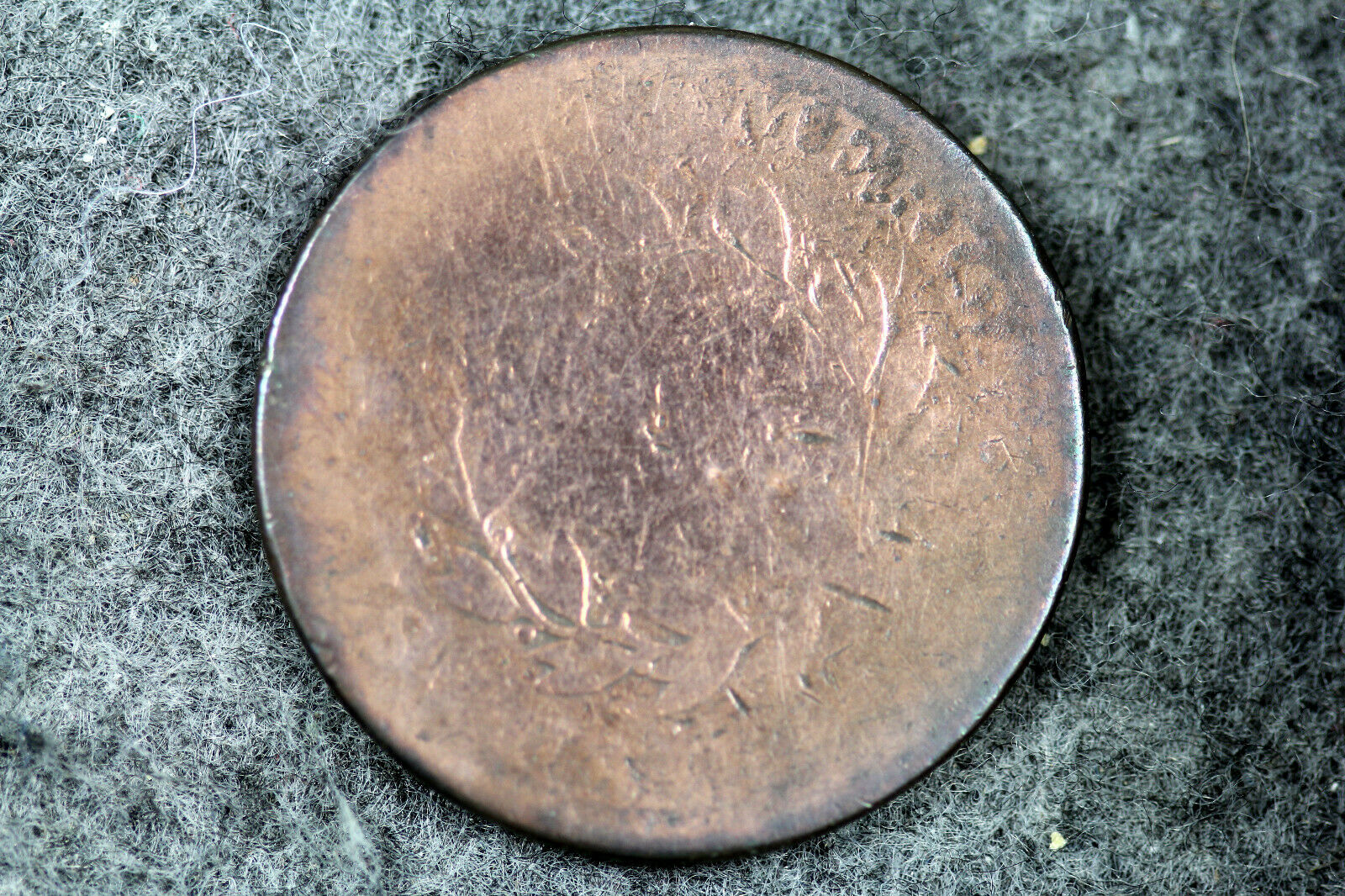 Reverse (2).jpg