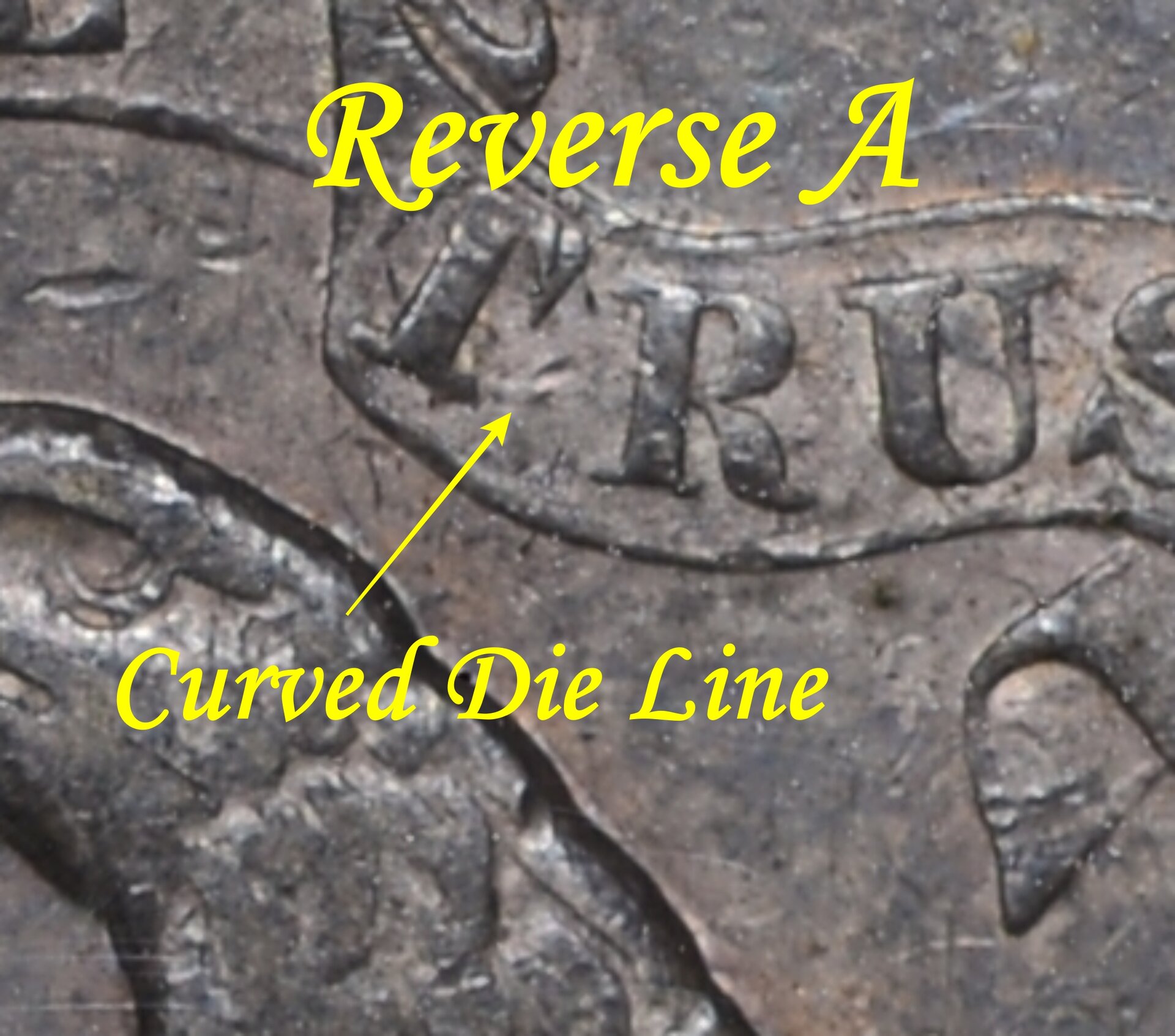 Reverse A Curved Die Line at Base of T.jpg