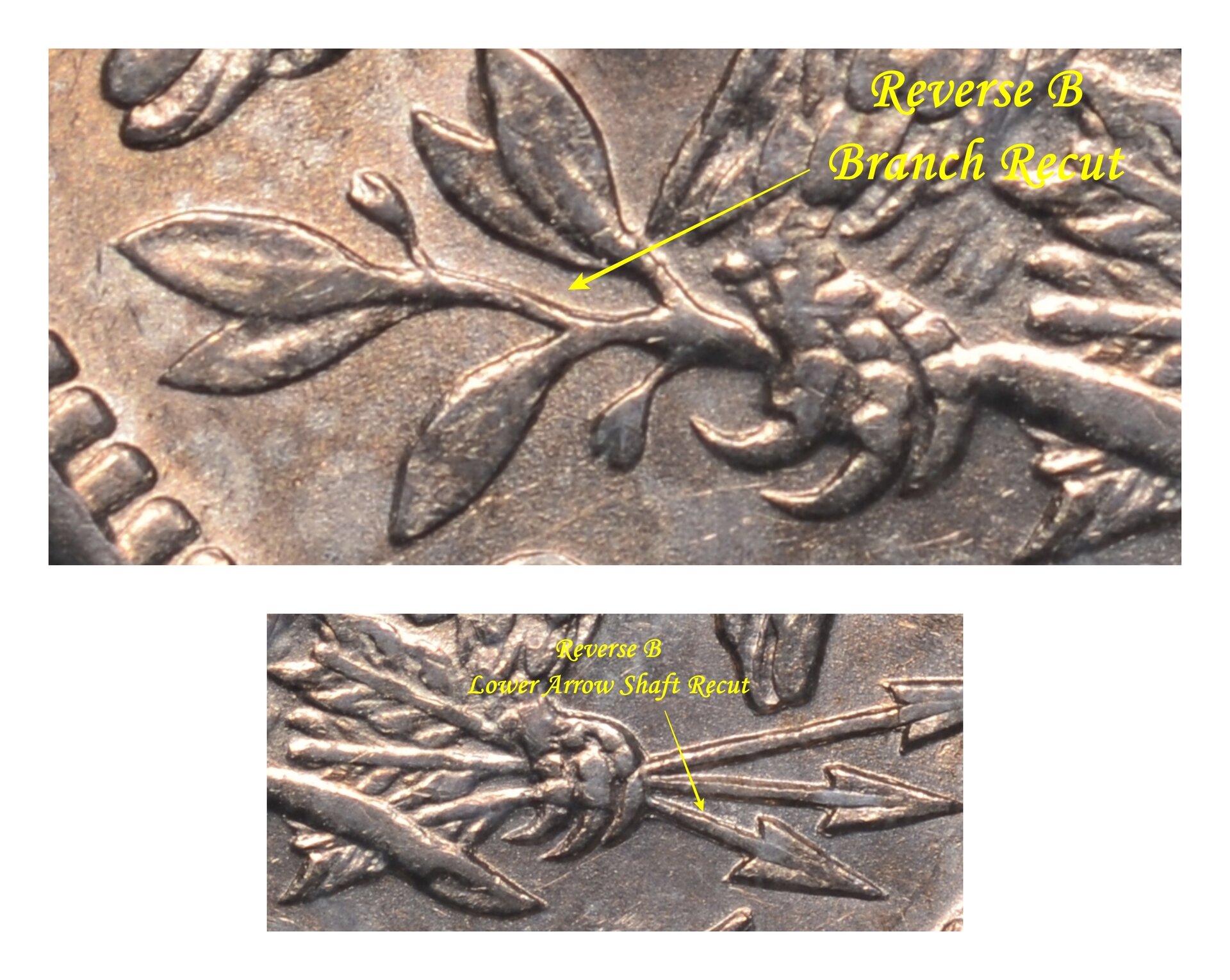 Reverse B Branch Recut-down.jpg