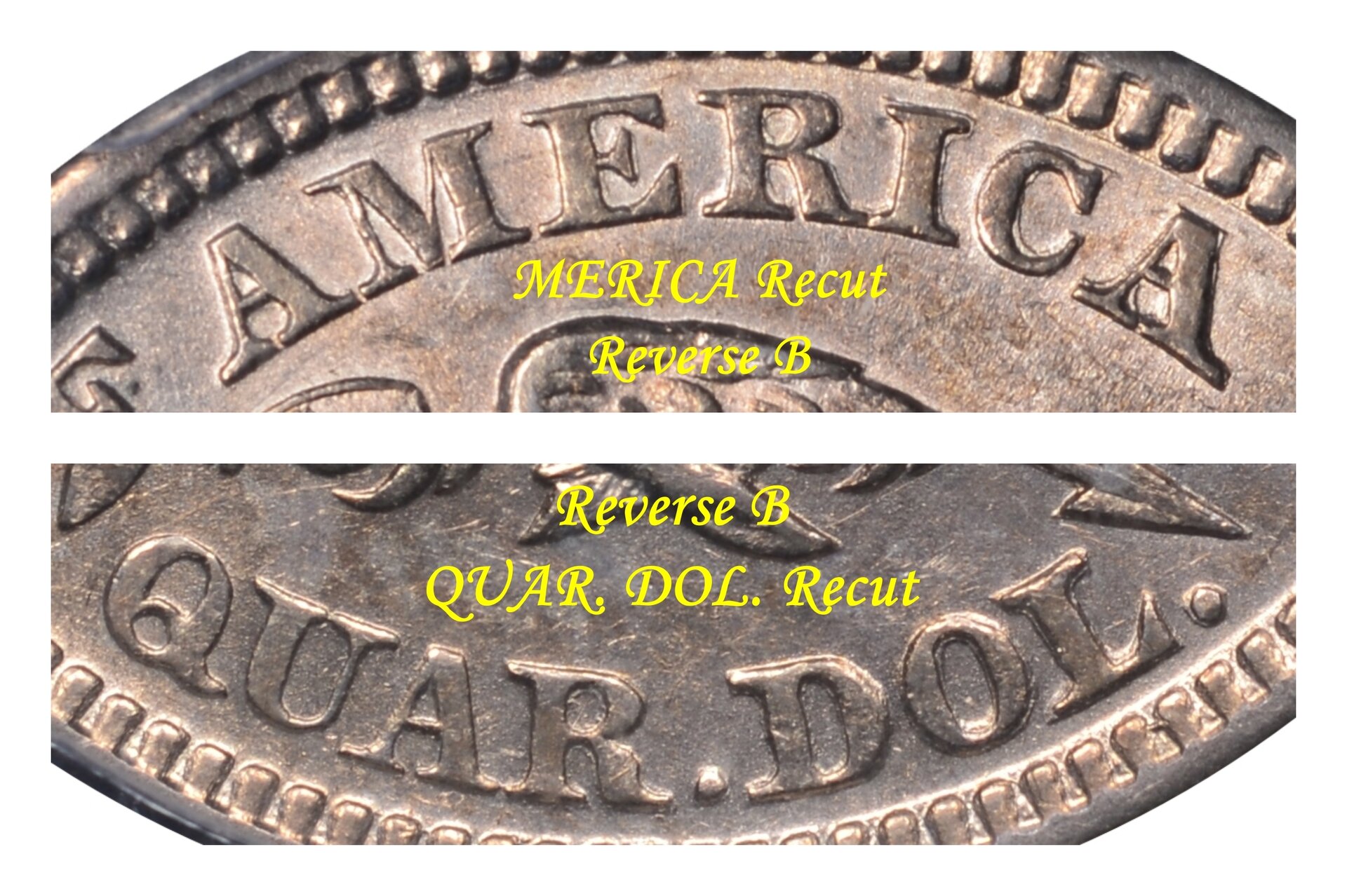 Reverse B MERICA Recut-down.jpg
