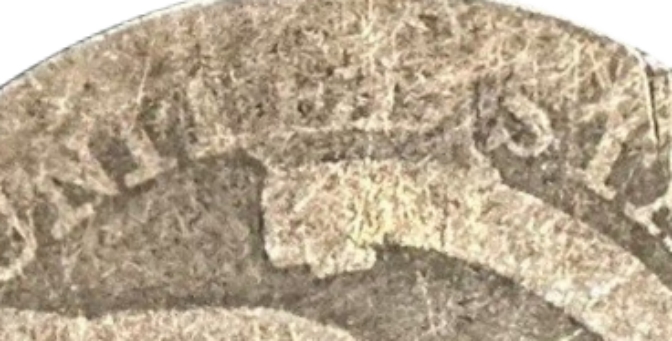 Reverse-Cropped at TED Cud.jpg