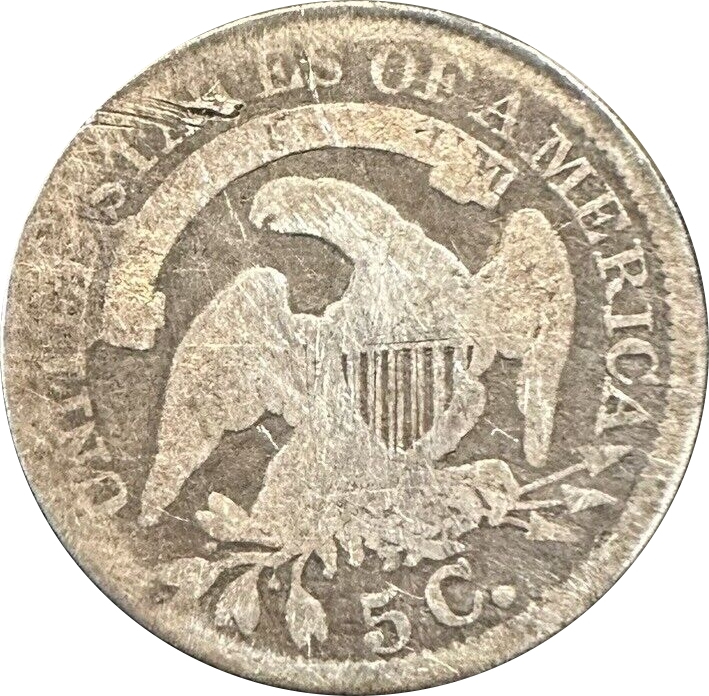 Reverse-Cropped.jpg