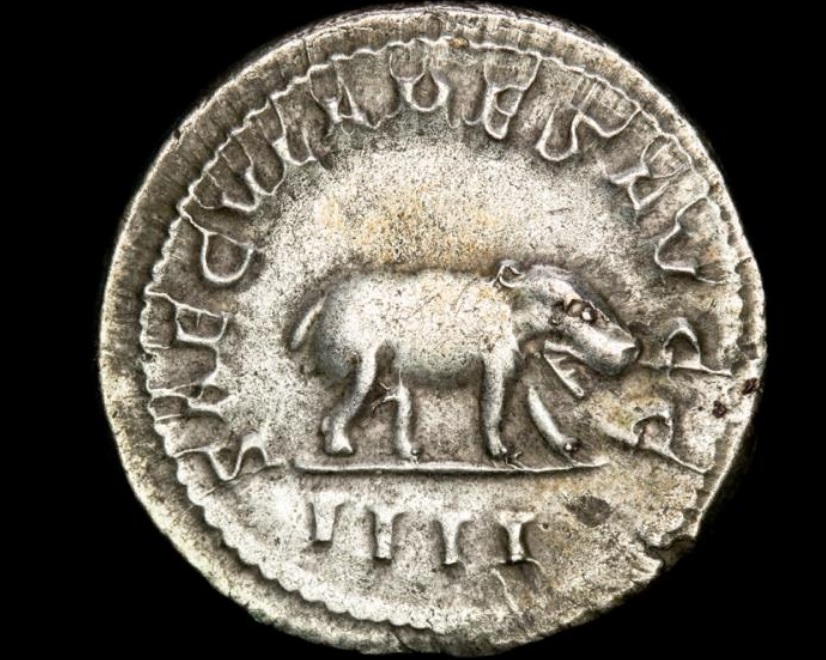 Reverse image only, Otacilia Severa antoninianus hippo reverse - jpg version.jpg