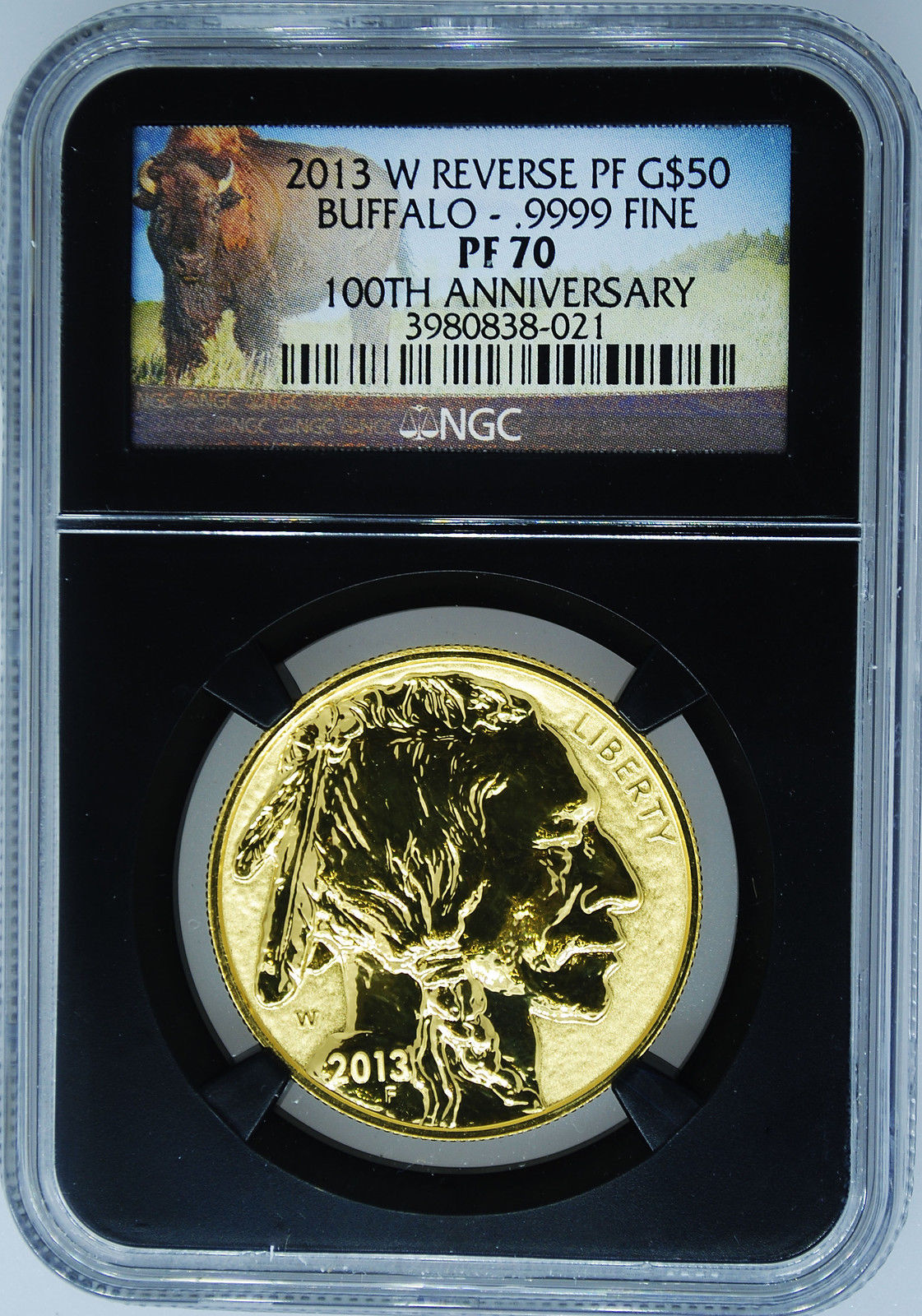 Reverse Proof Buffalo.jpg