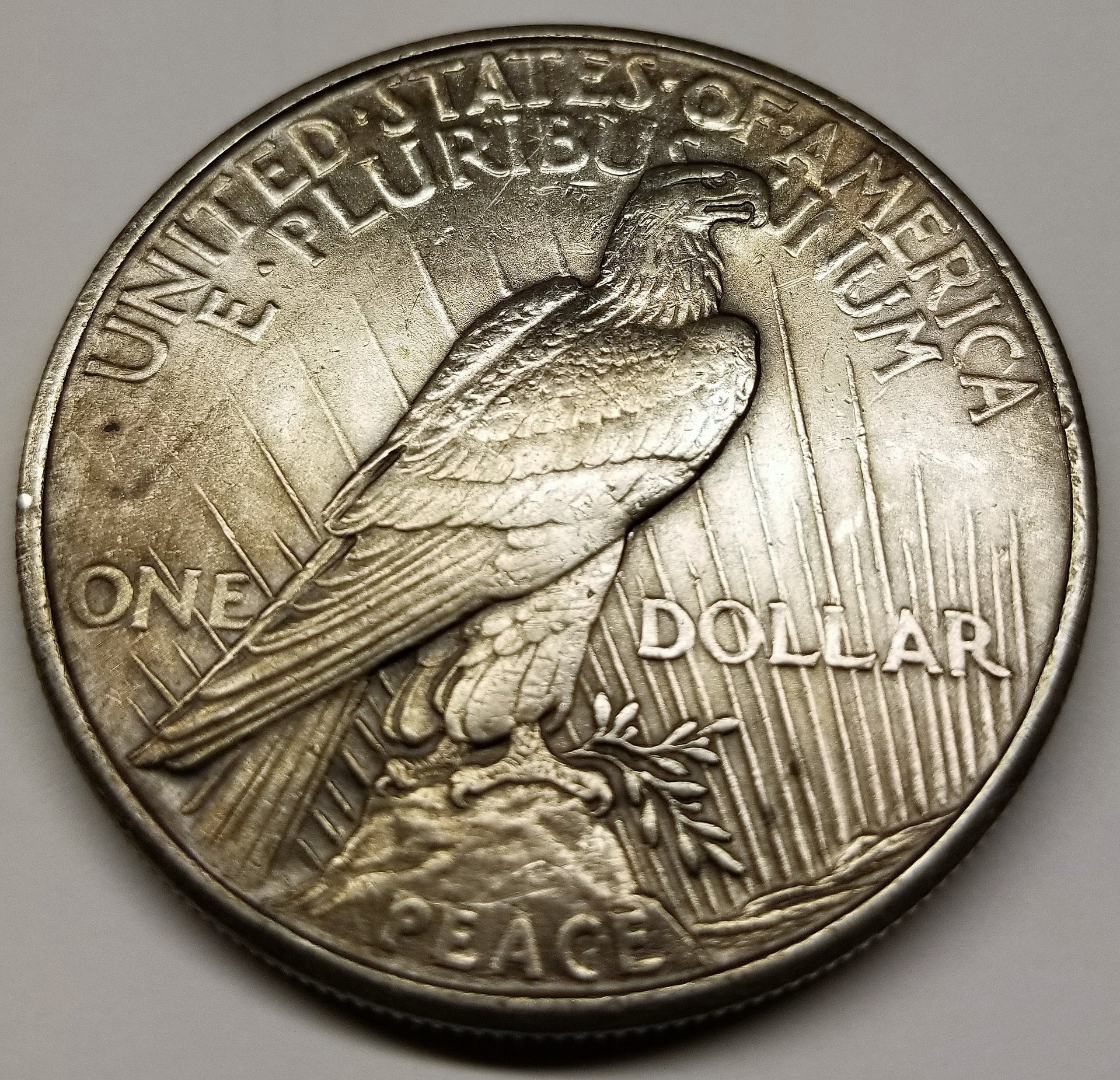 Reverse2.jpg