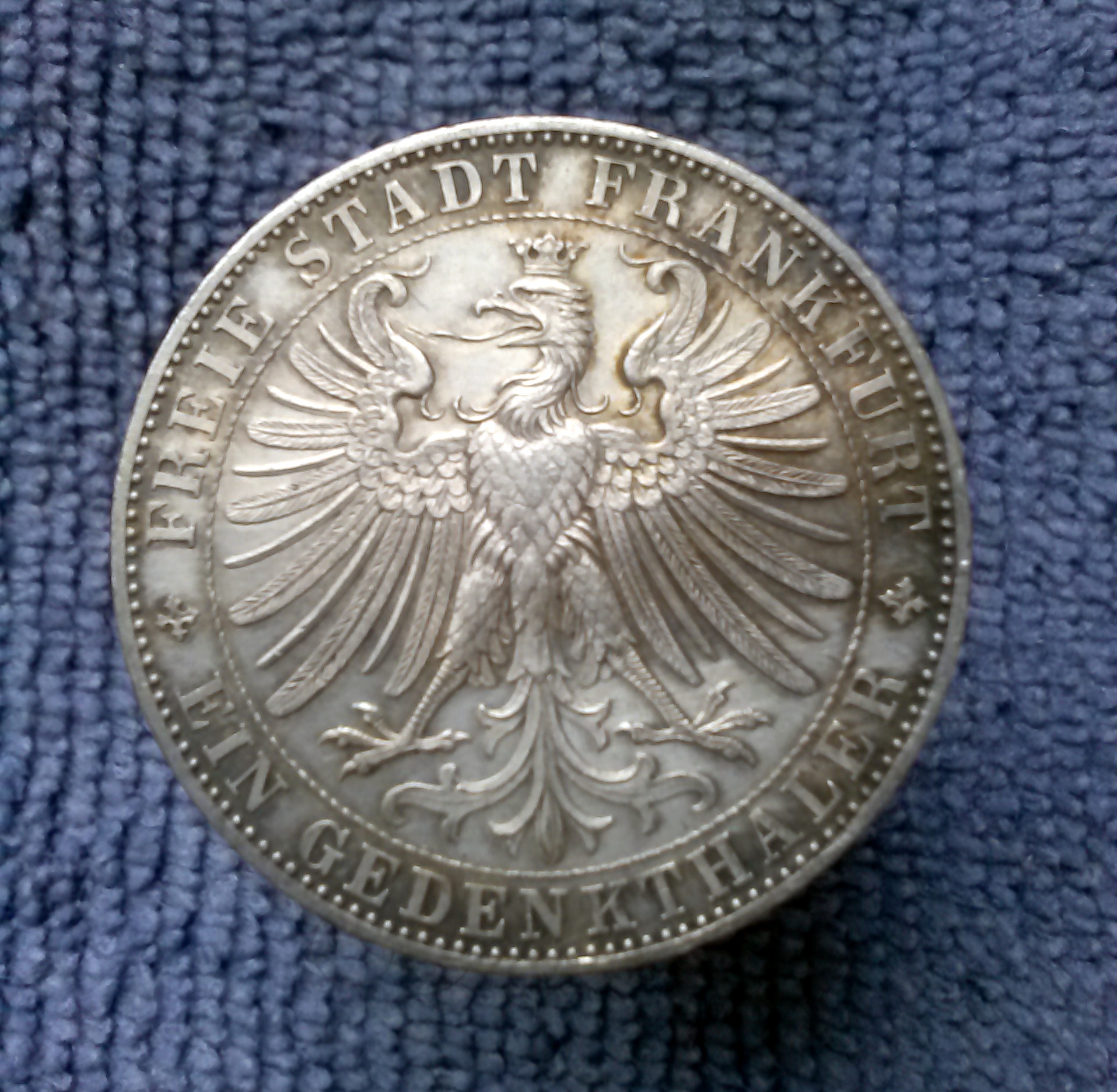 REVthaler (1).jpg
