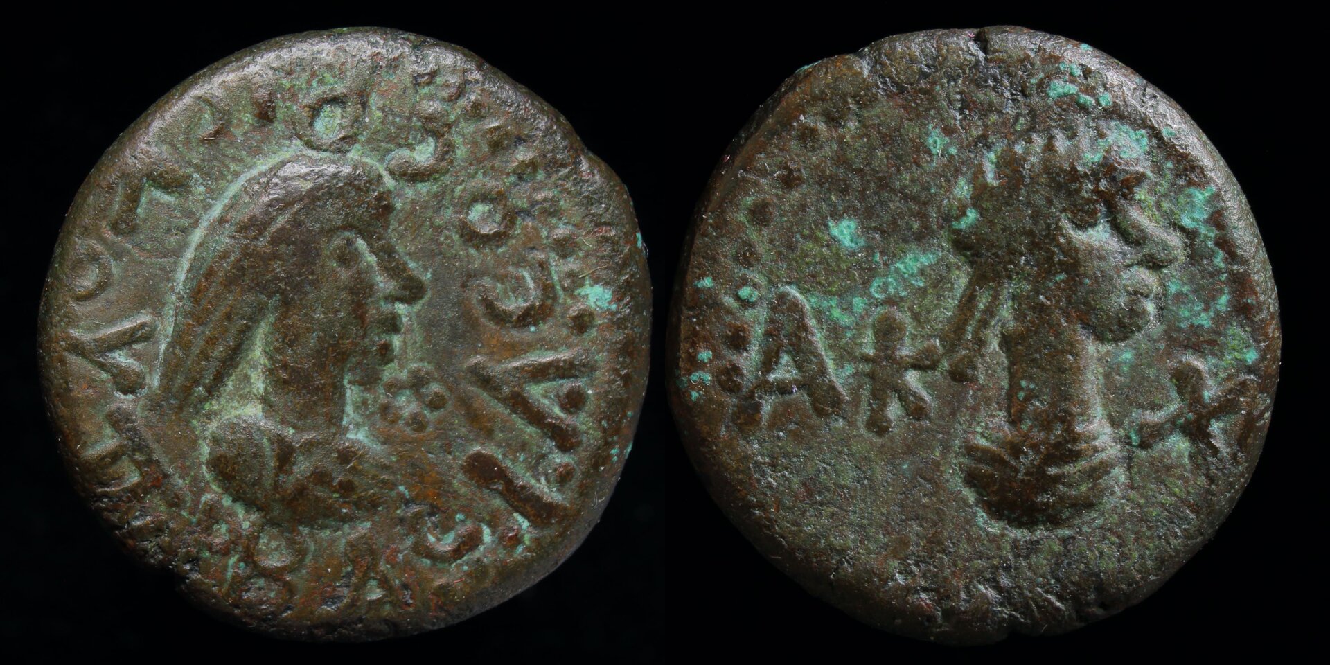 rhescuporis.jpg