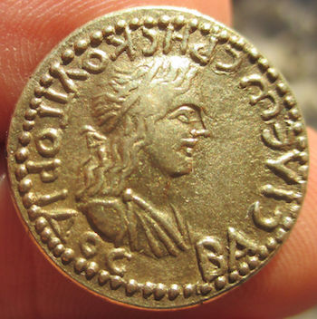 RhescuporisMacD551s4o.jpg