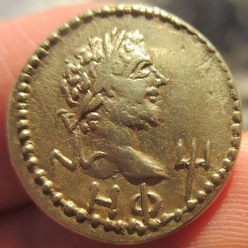 RhescuporisMacD551s4r.jpg