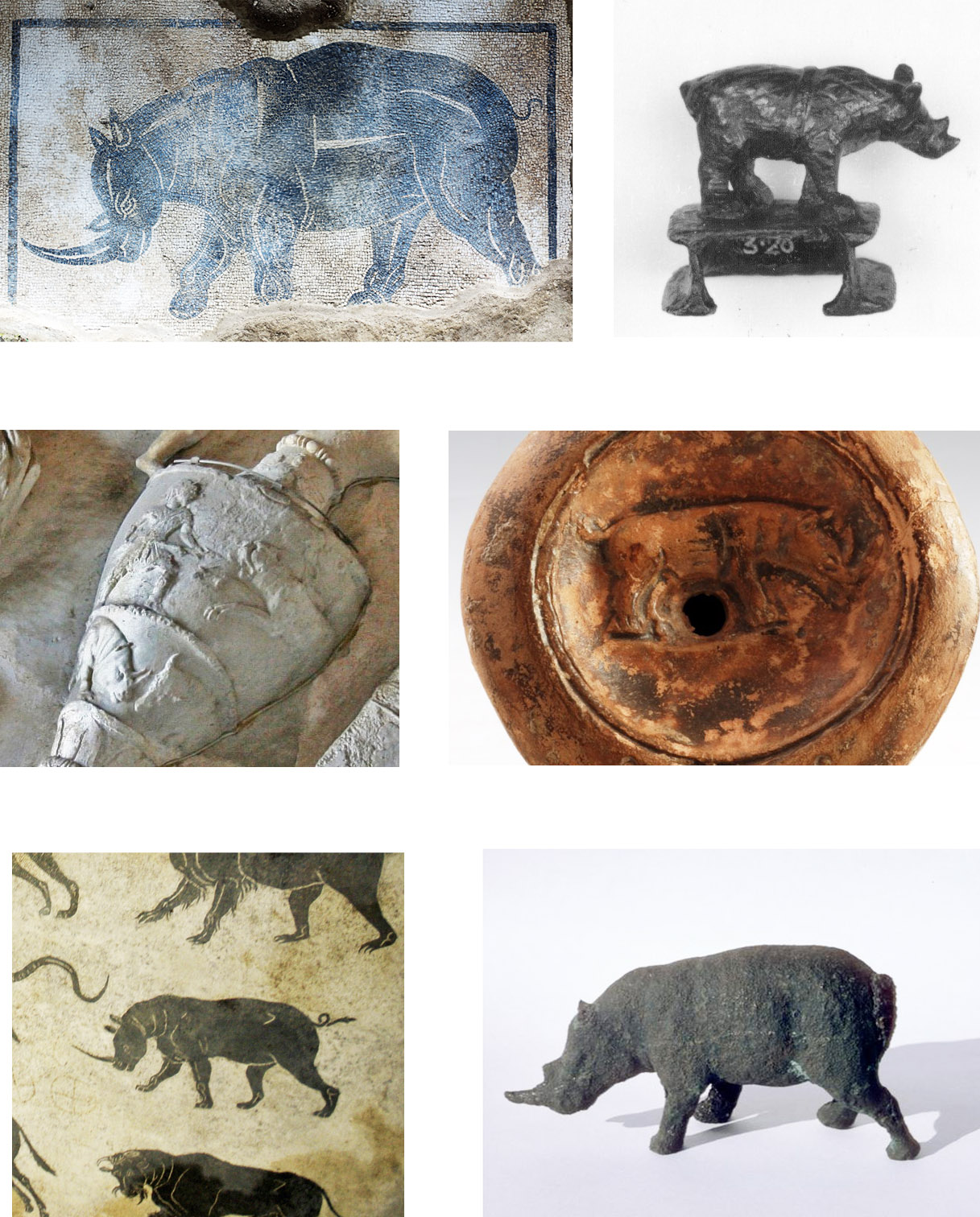 rhinos.jpg