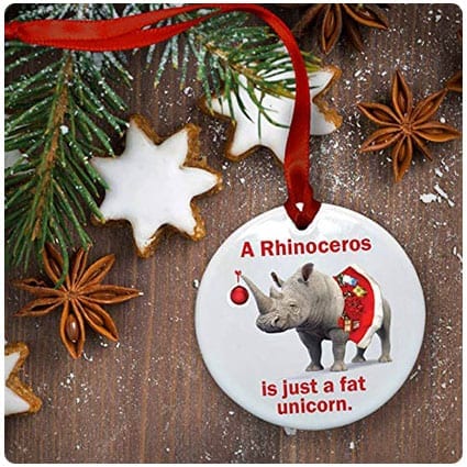 RhinosAreJustFatUnicorns.jpg