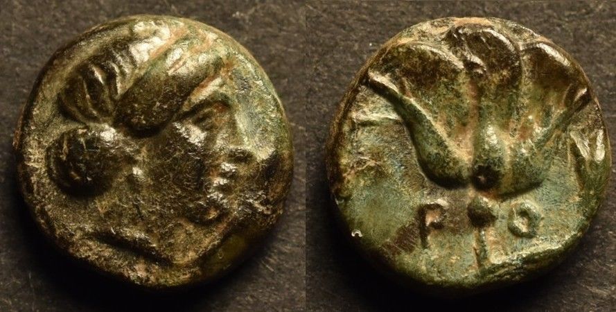 Rhodes AE10 with Rhodos.jpg