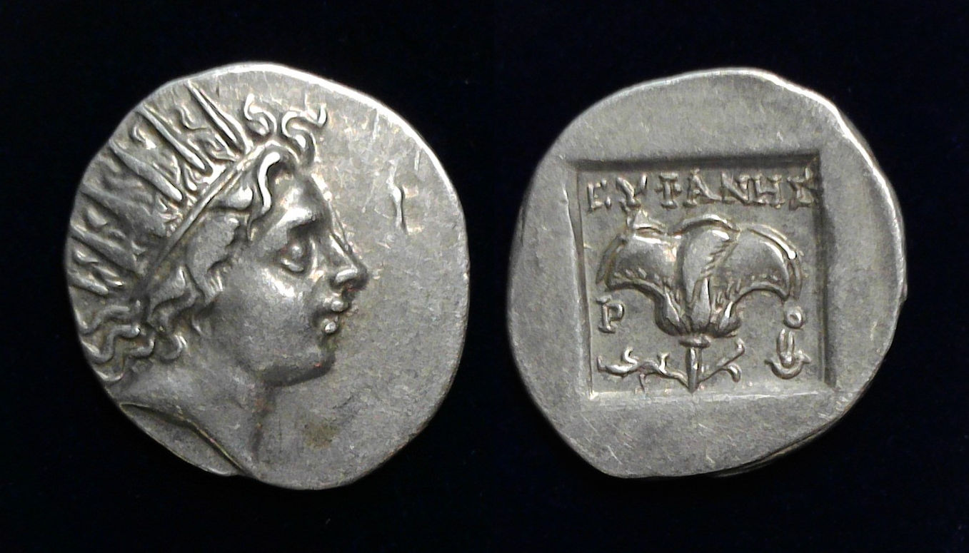 Rhodes Euphanes.jpg