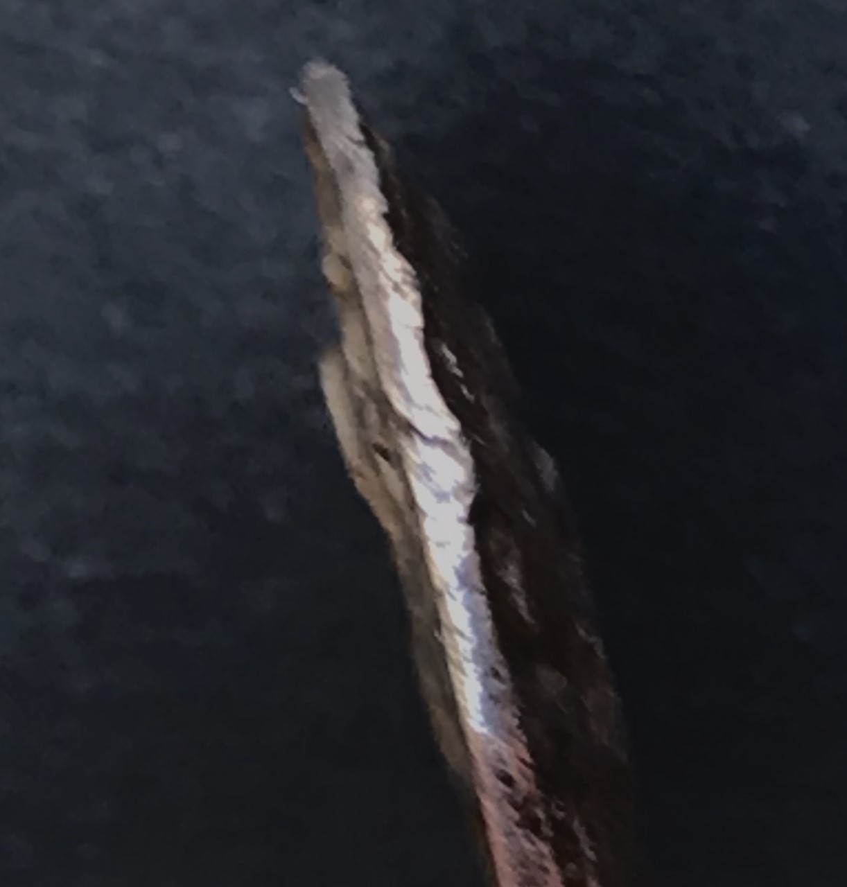 Rhodes Helios Old Edge.jpg