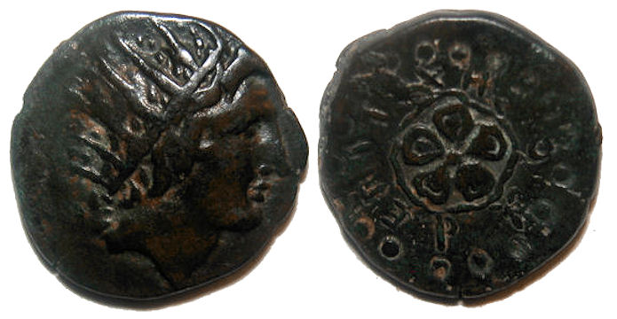 Rhodes Rose AE.jpg