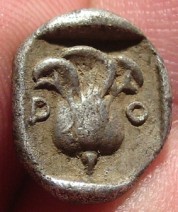 rhodesb.jpg