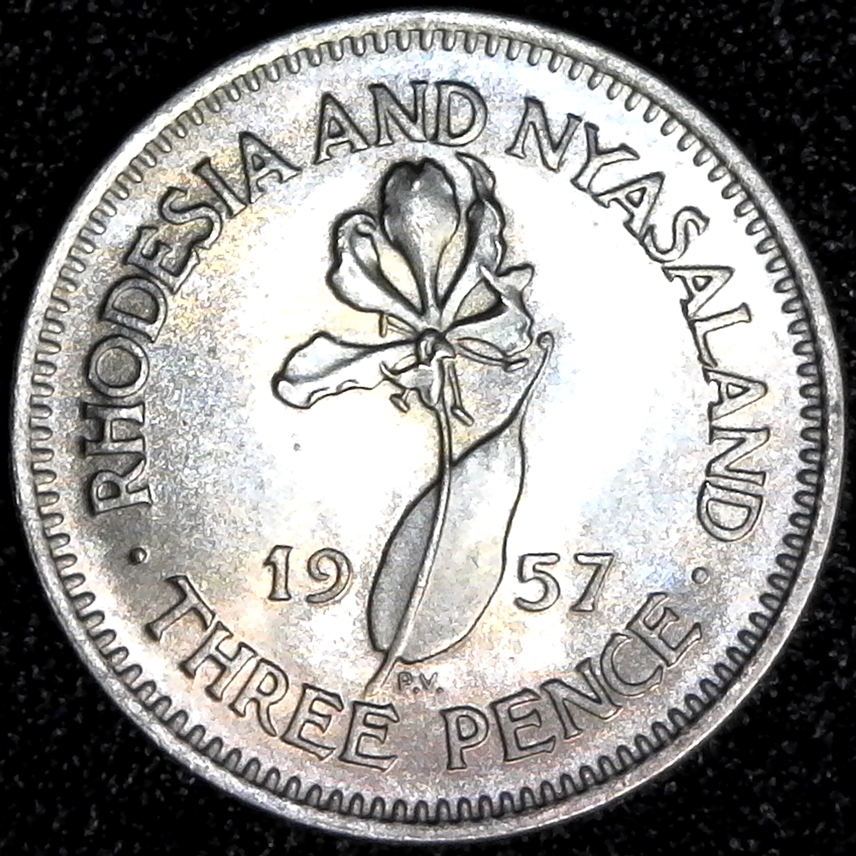 Rhodesia and Nyasaland 3 Pence 1957 rev.jpg
