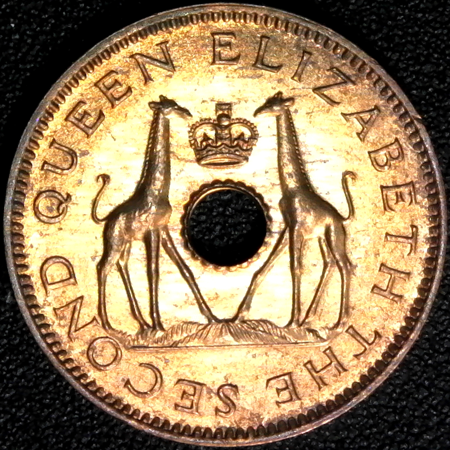 Rhodesia And Nyasaland Half Penny 1957 obverse.jpg