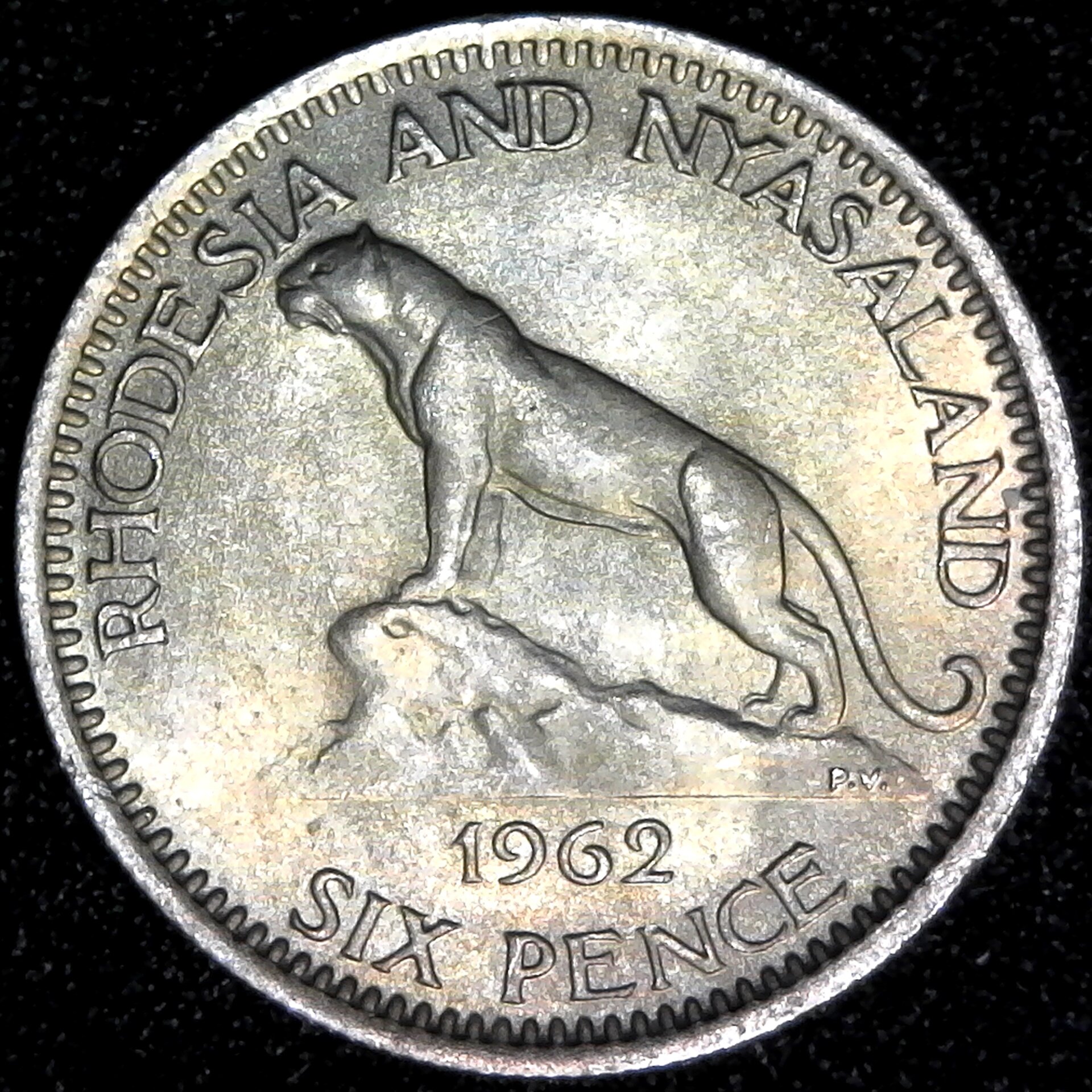 Rhodesia and Nyasaland Six Pence 1962 rev.jpg