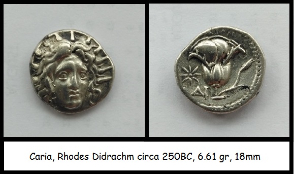 rhodoscombo.jpg
