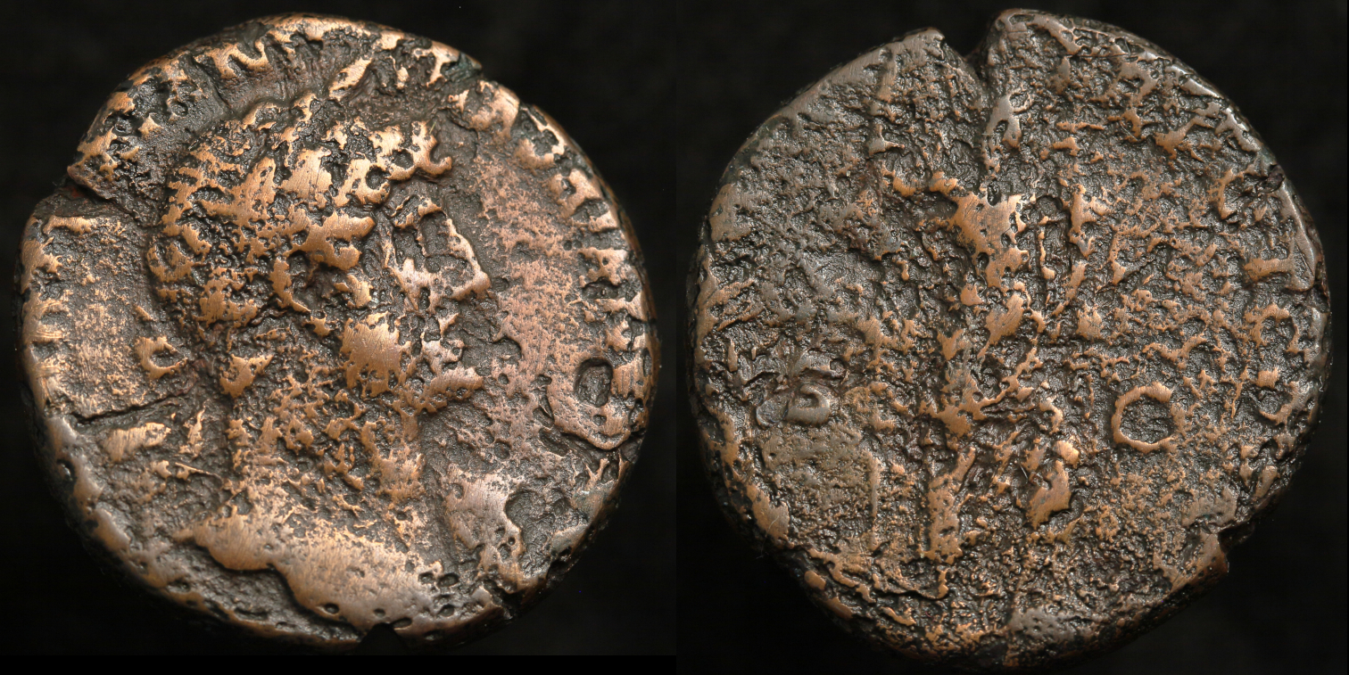 RI 044as img.JPG