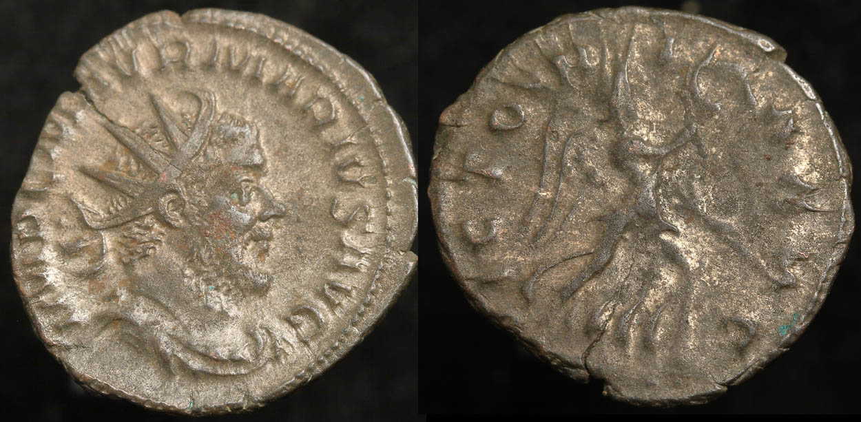 RI 117c img.jpg