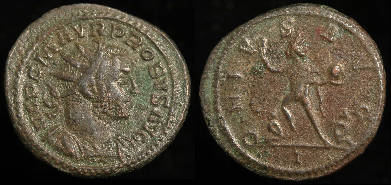 RI 132zh img.JPG