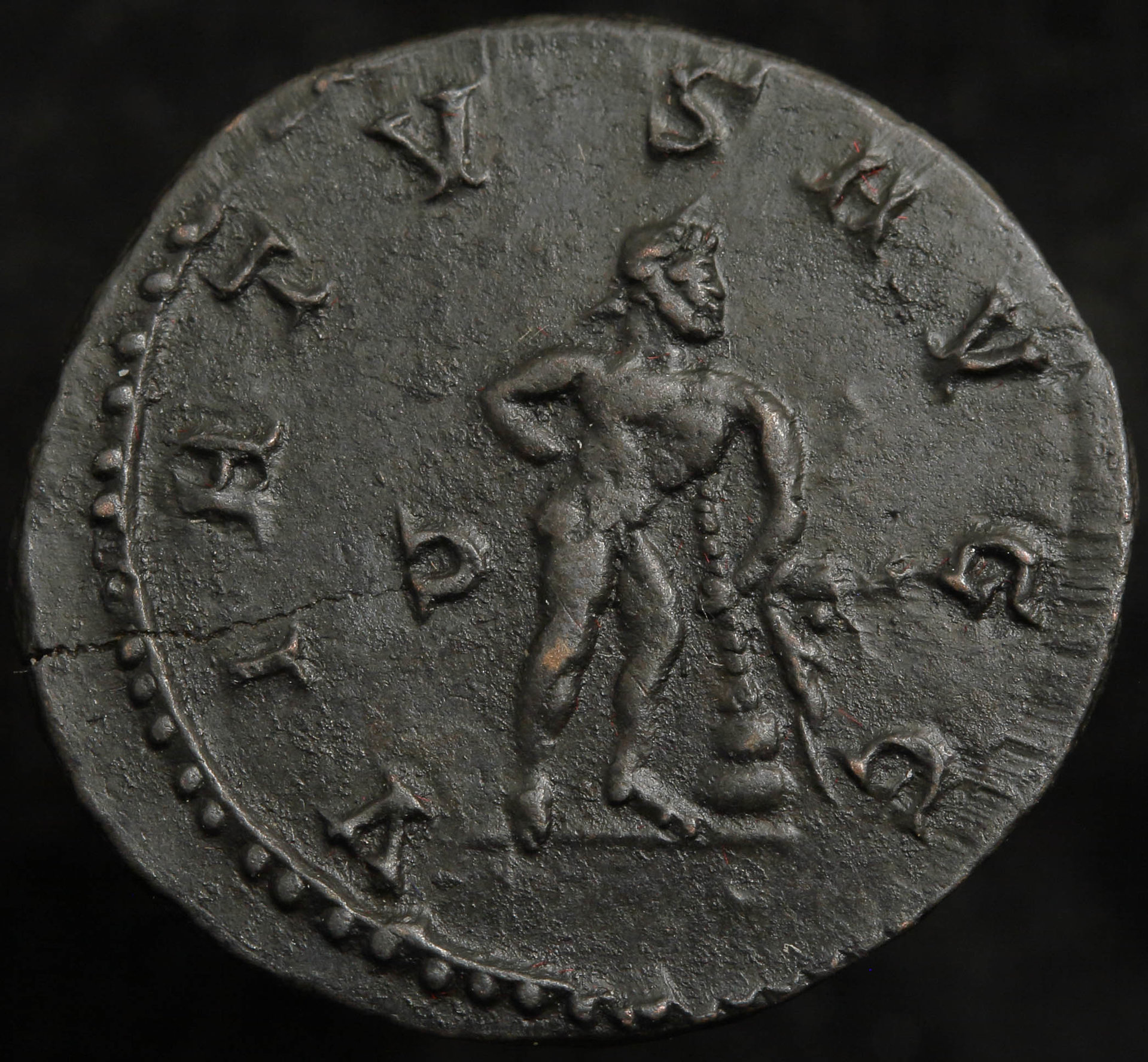 RI 146dv rev.jpg