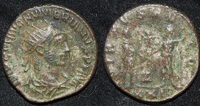RI Numerian 283-284 CE AE Ant Stndg receiving Victory Obv-Rev.jpg