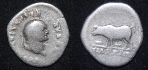 RI Titus 79-81 CE AR Denarius Sow piglets.jpg
