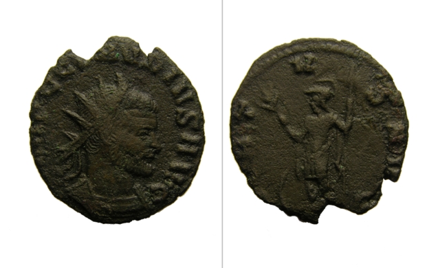 ri173.jpg