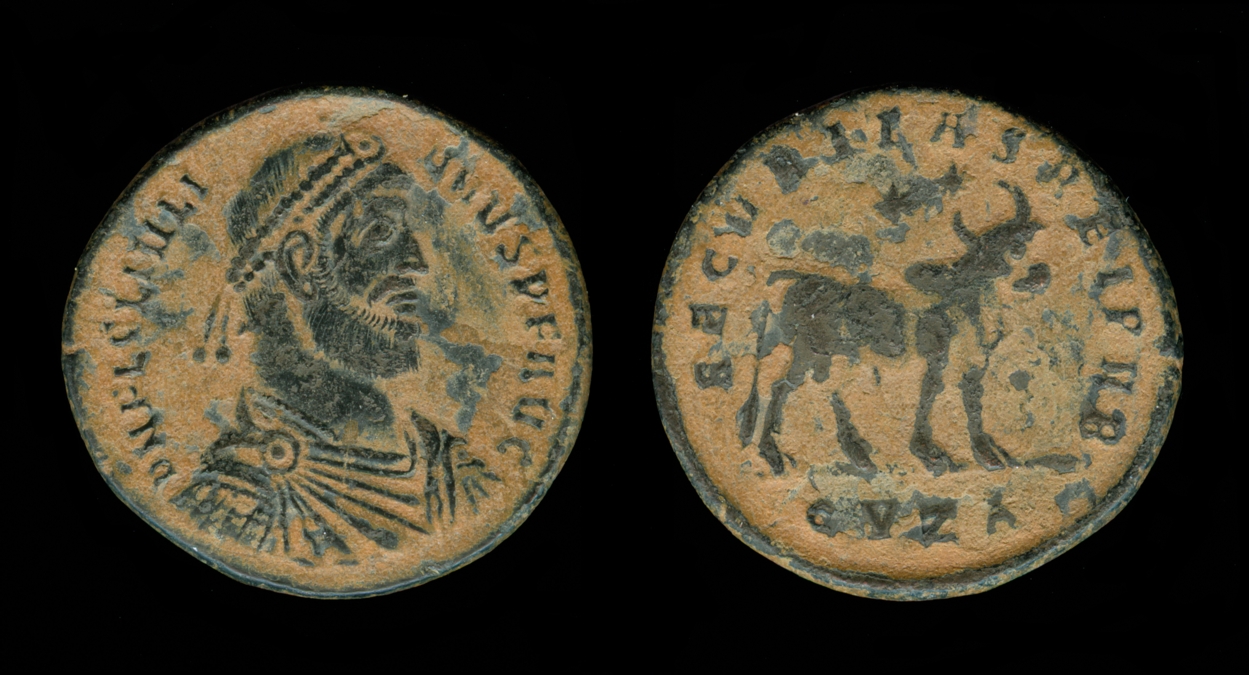 ri193.jpg