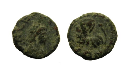 ri203.jpg