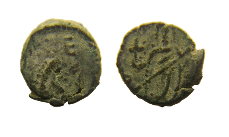 ri217.jpg