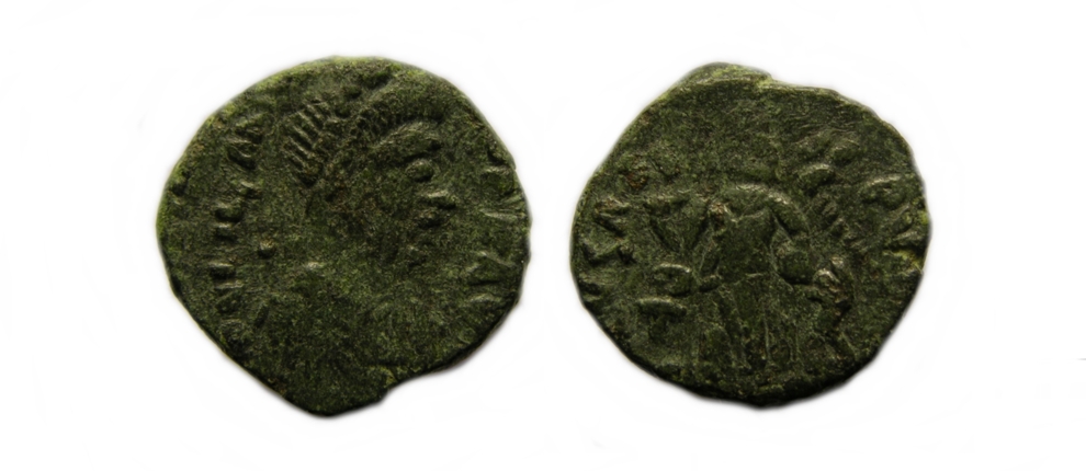 ri229.jpg