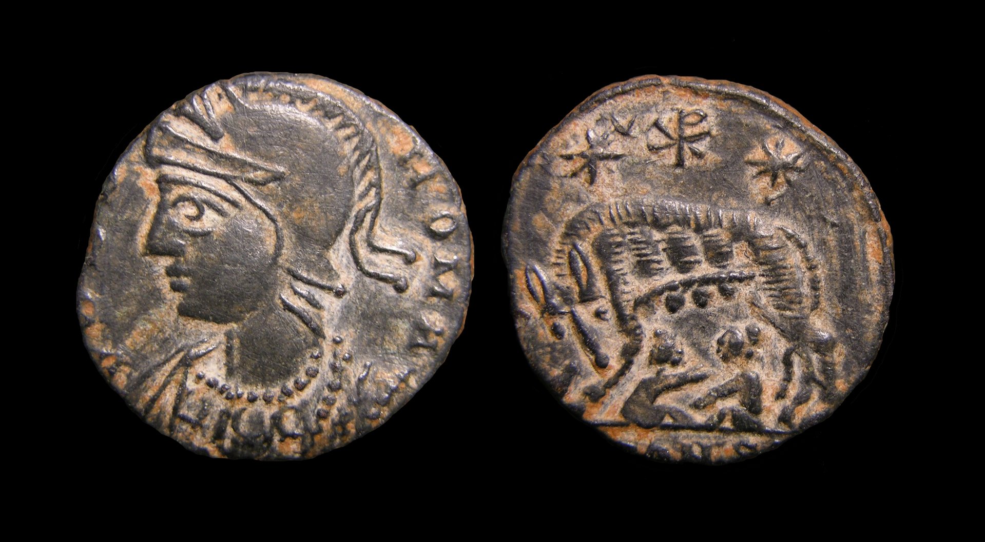 ri239.jpg