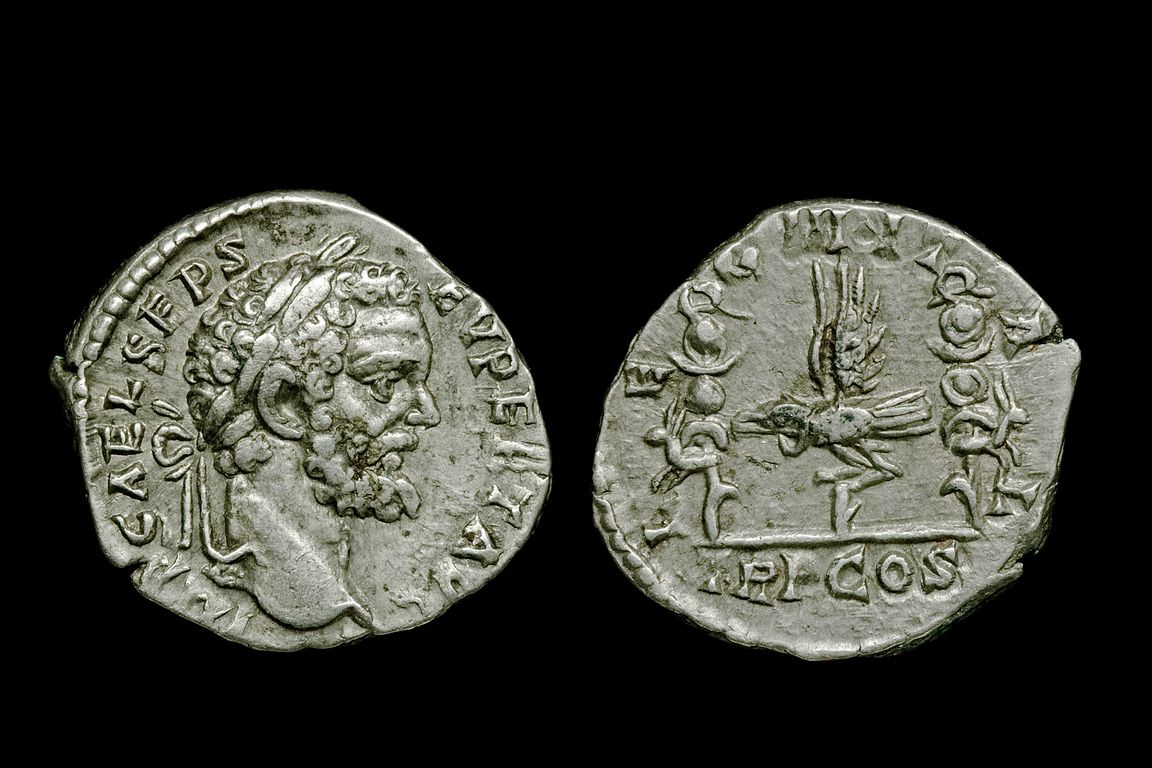 ri3660bb1277.jpg