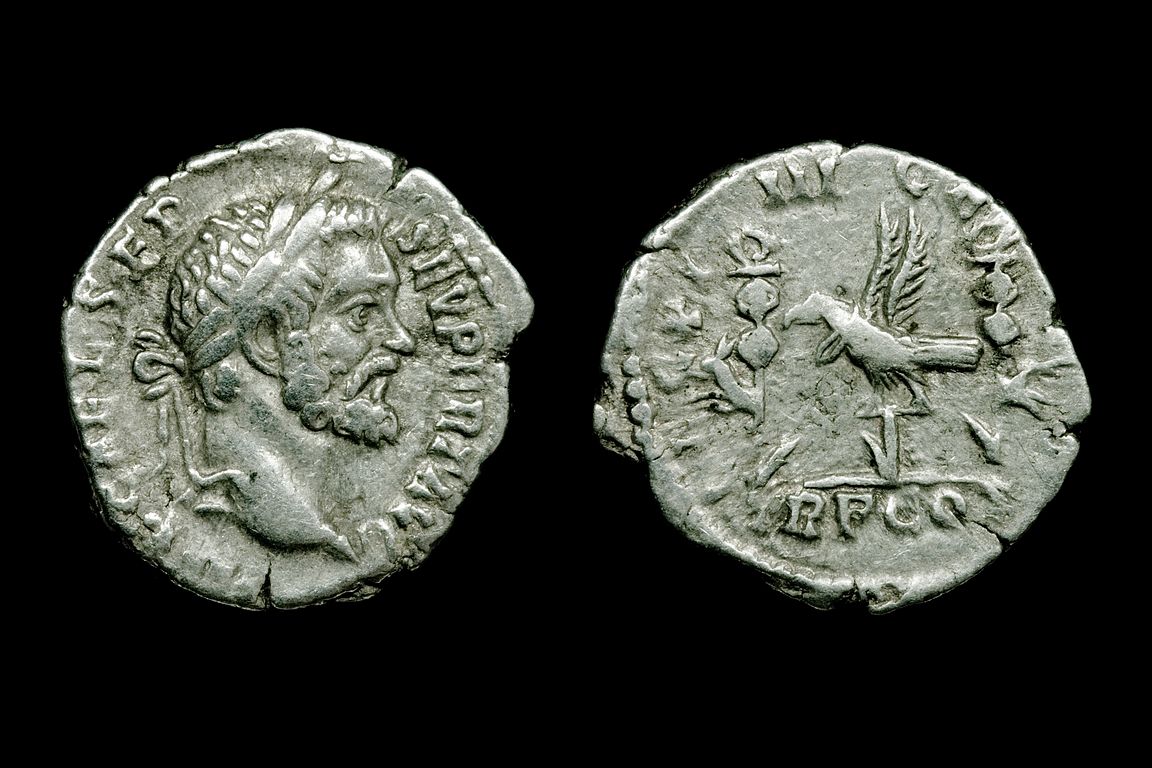 ri3790bb1331.jpg