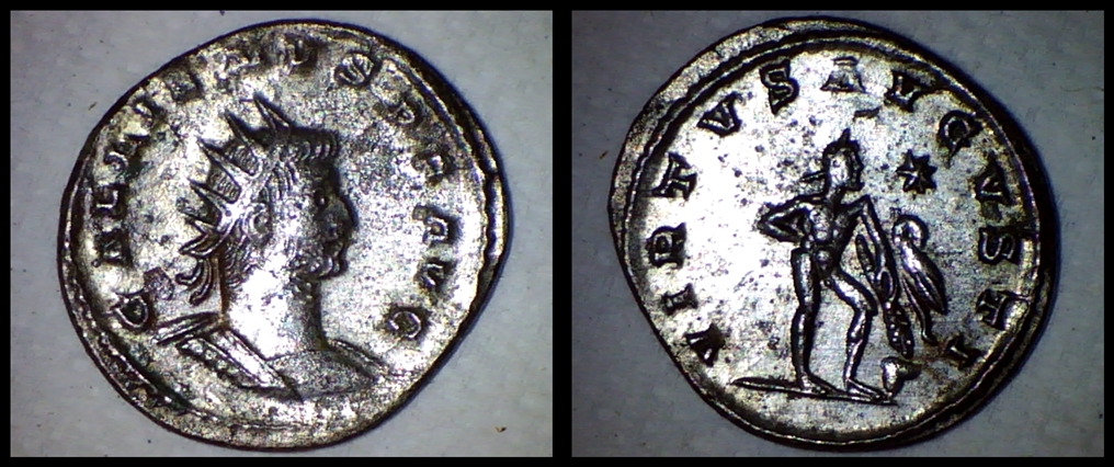 RIC-672-horz.jpg