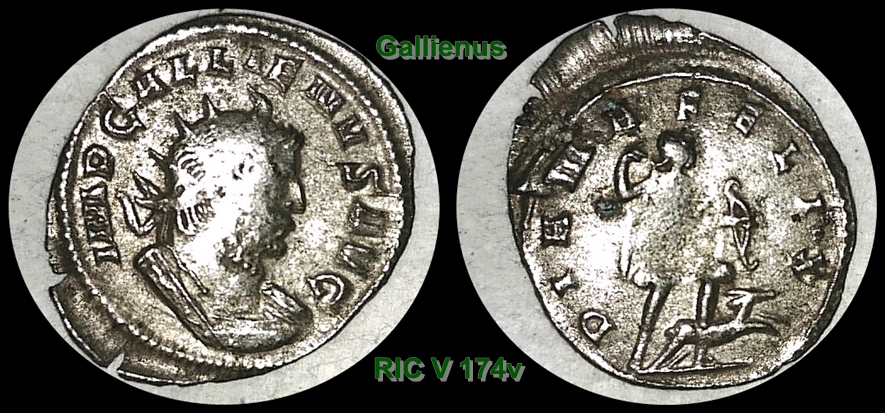RIC5-174v-horz.jpg