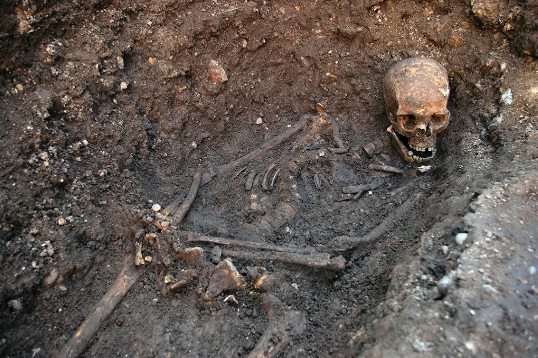 Richard III Skel.jpg