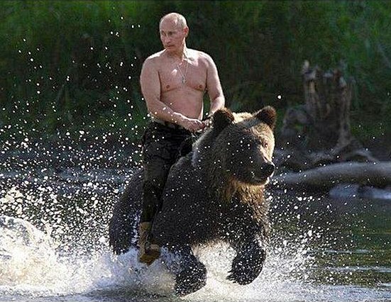 riding a bear.jpg
