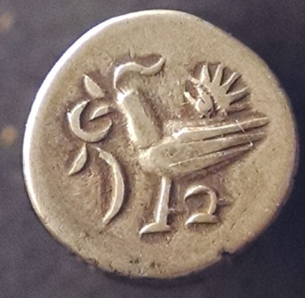 rings and coins 002_opt.jpg