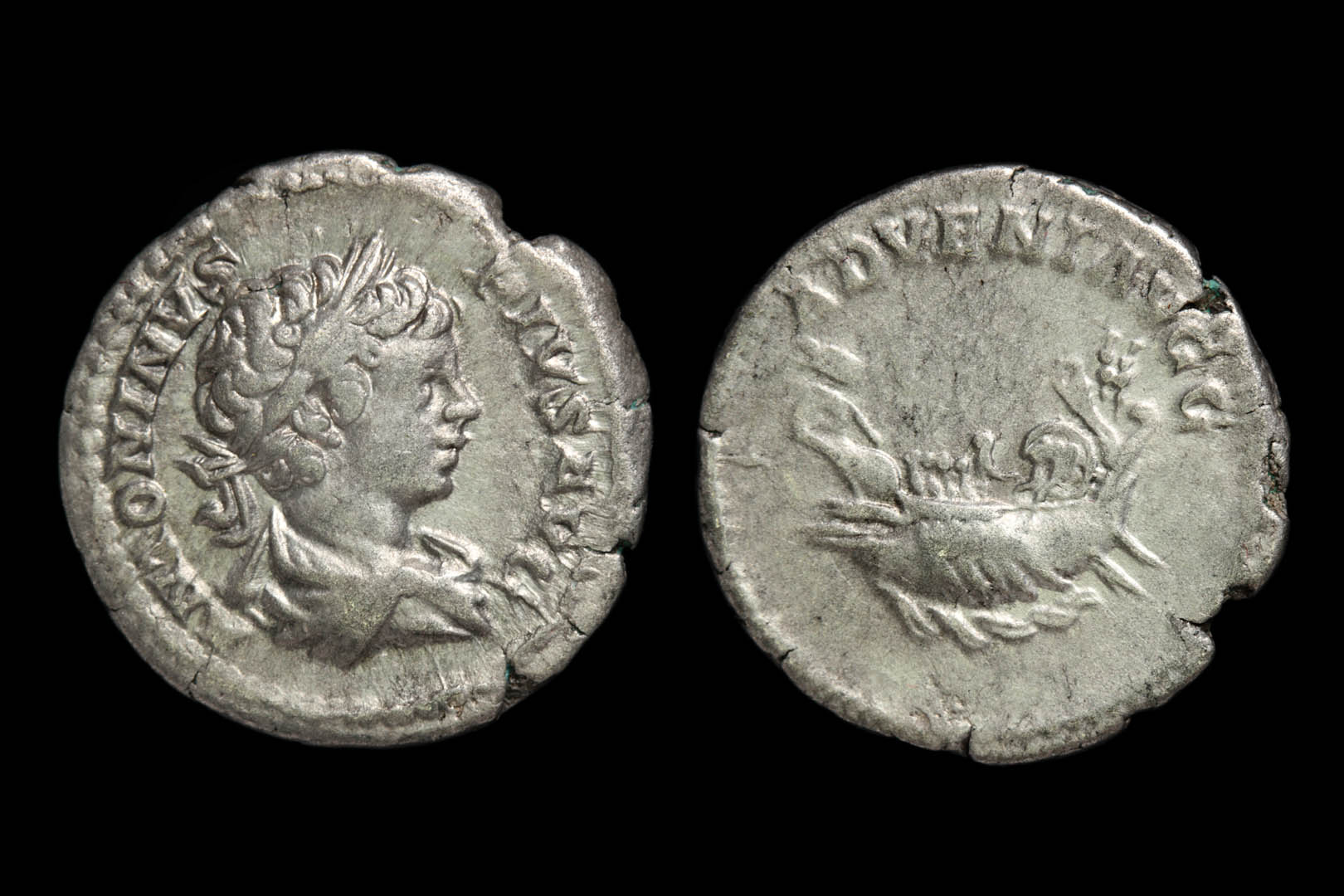 rm6635fd2424.jpg