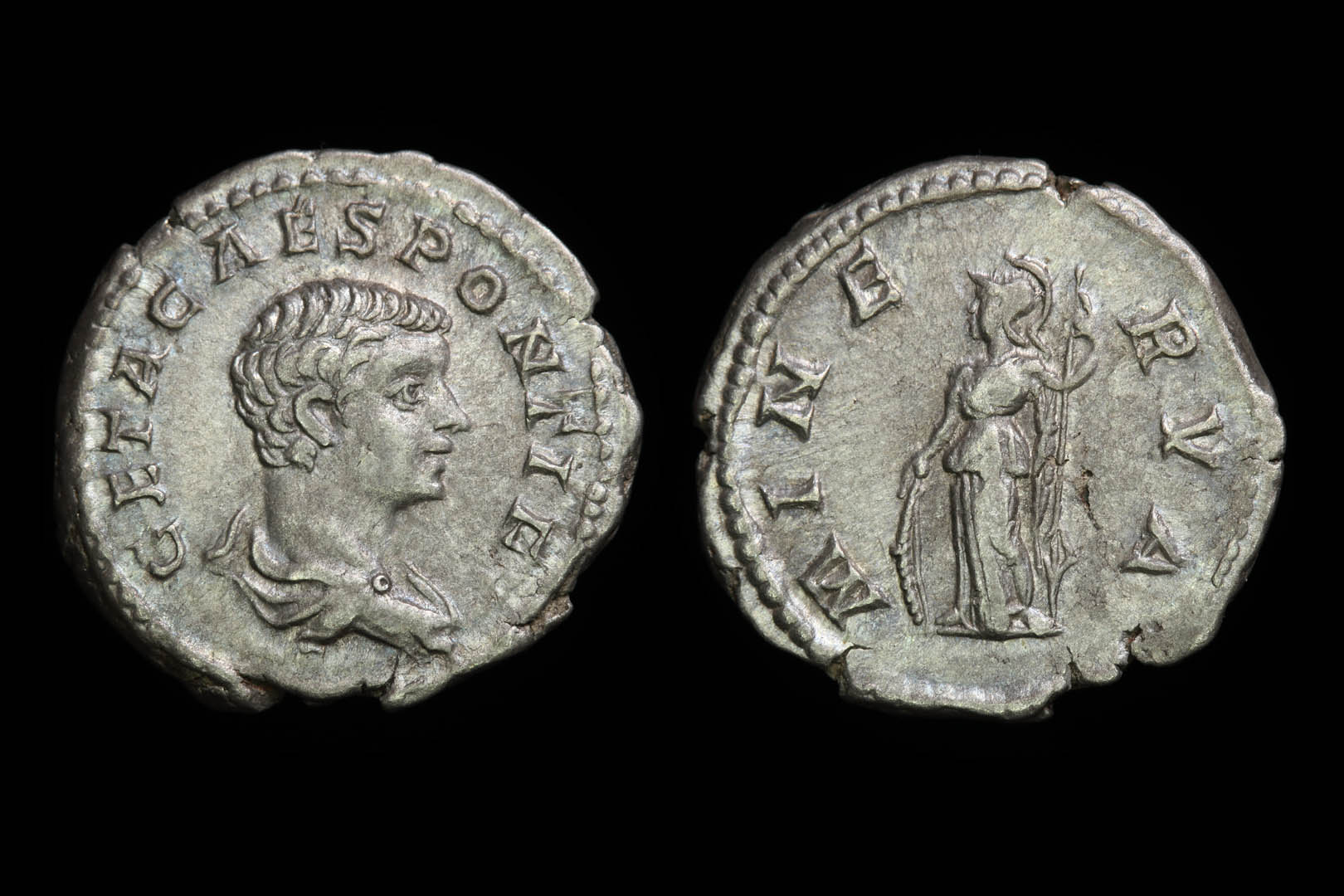 rm7045fd1698.jpg