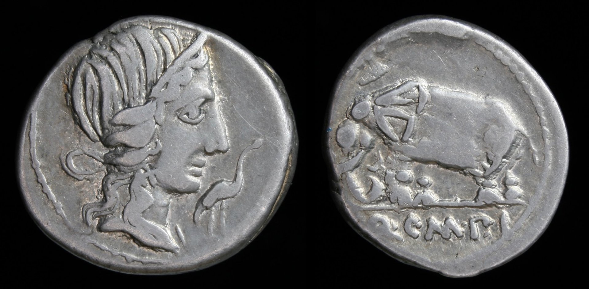 Römische Republik – RRC 374:1, Denar, Q. Caecilius Metellus Pius, Pietas Elefant.jpg