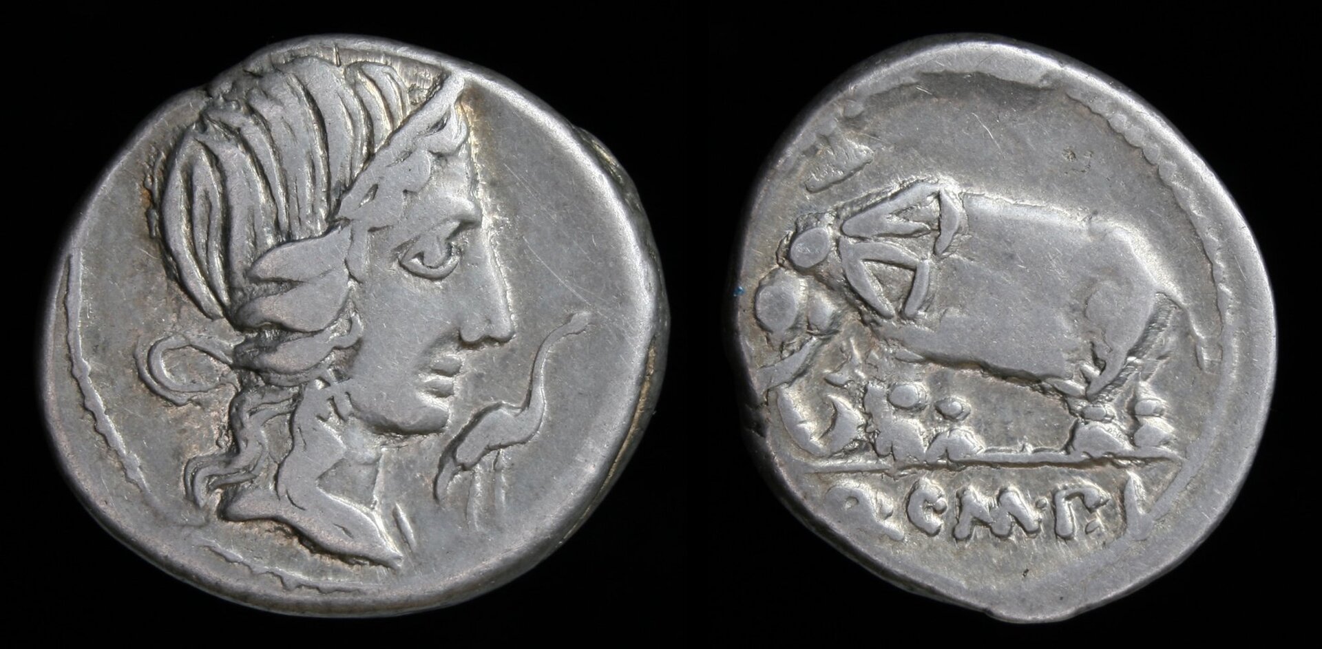 Römische Republik – RRC 374:1, Denar, Q. Caecilius Metellus Pius, Pietas Elefant.jpg