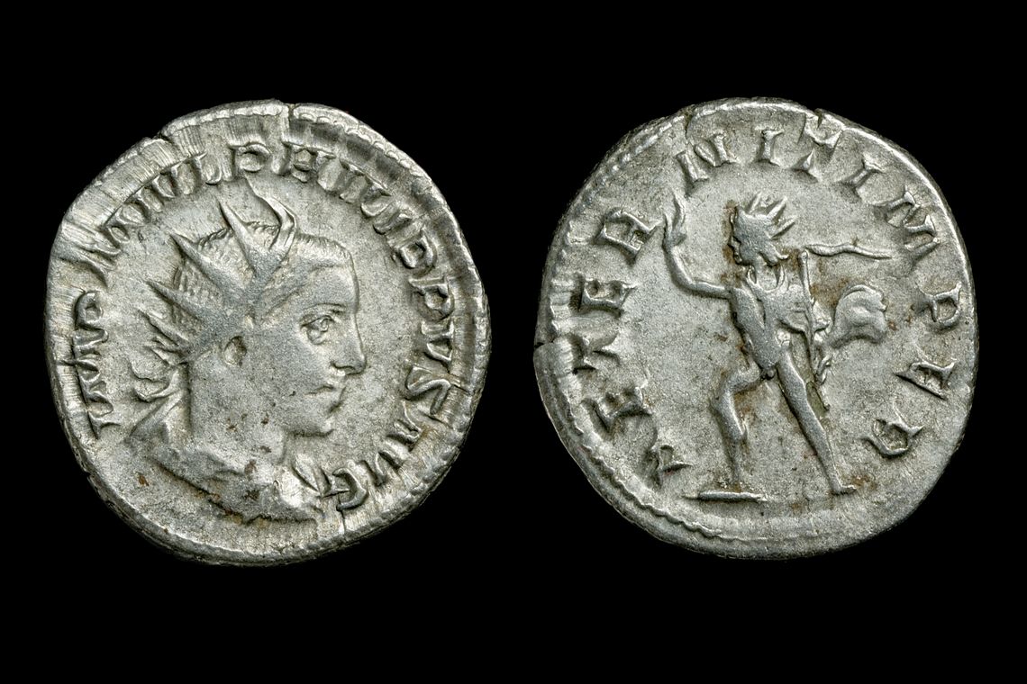 ro1170bb1893.jpg