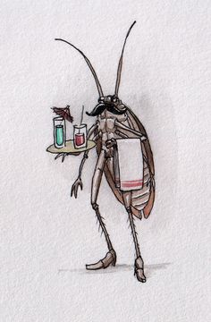 roach with stache.jpg